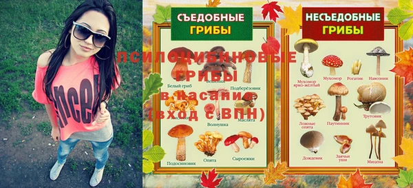 меф Арсеньев