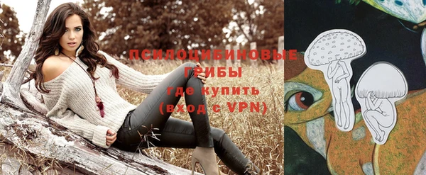 амф Покачи
