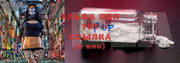 меф Арсеньев