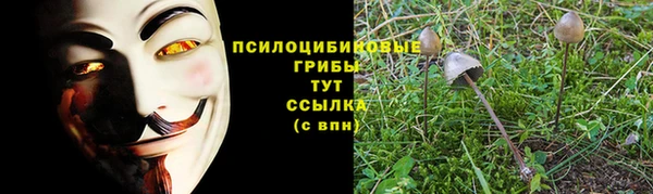 меф Арсеньев