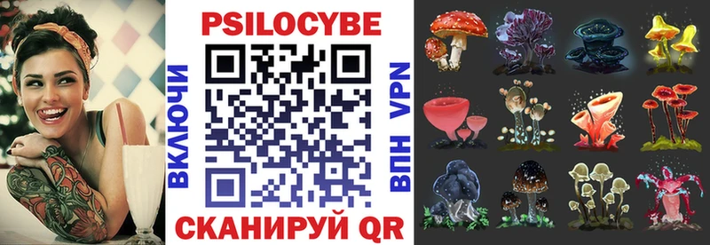 как найти закладки  Рошаль  Псилоцибиновые грибы Cubensis 